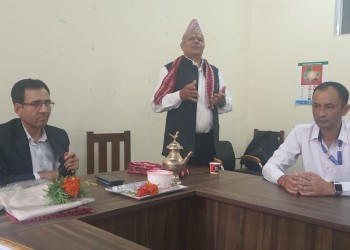 yadav_2.jpg